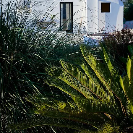 Vila Trullo Kava - Ceglie Messapica